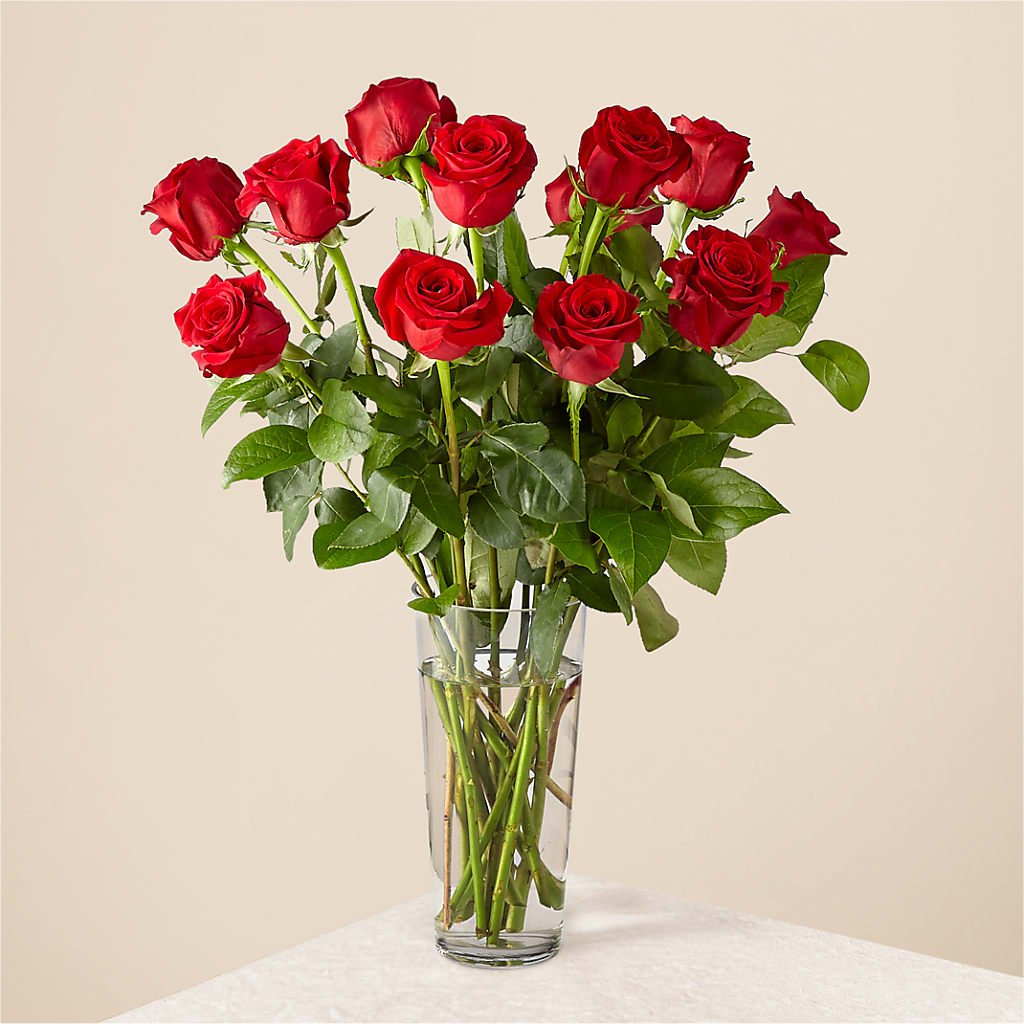 Long Stem Red Rose Bouquet – Diana Flowers, Passaic NJ