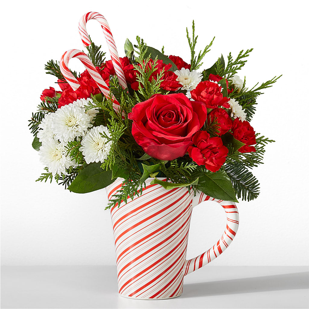 Peppermint Swirl Mug – Diana Flowers, Passaic NJ