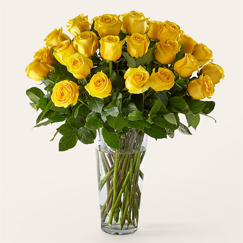 Long Stem Yellow Rose Bouquet – Diana Flowers, Passaic NJ