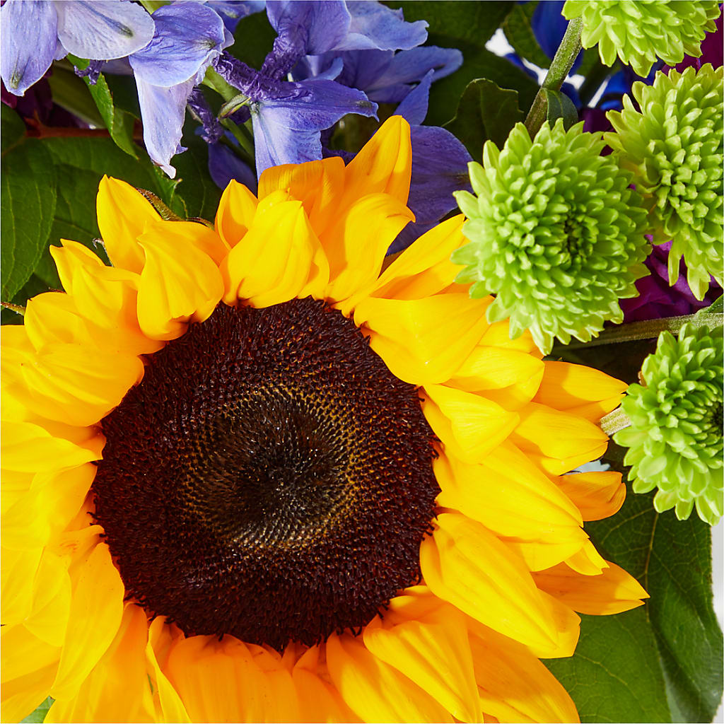 Catching Rays Bouquet – Diana Flowers, Passaic NJ