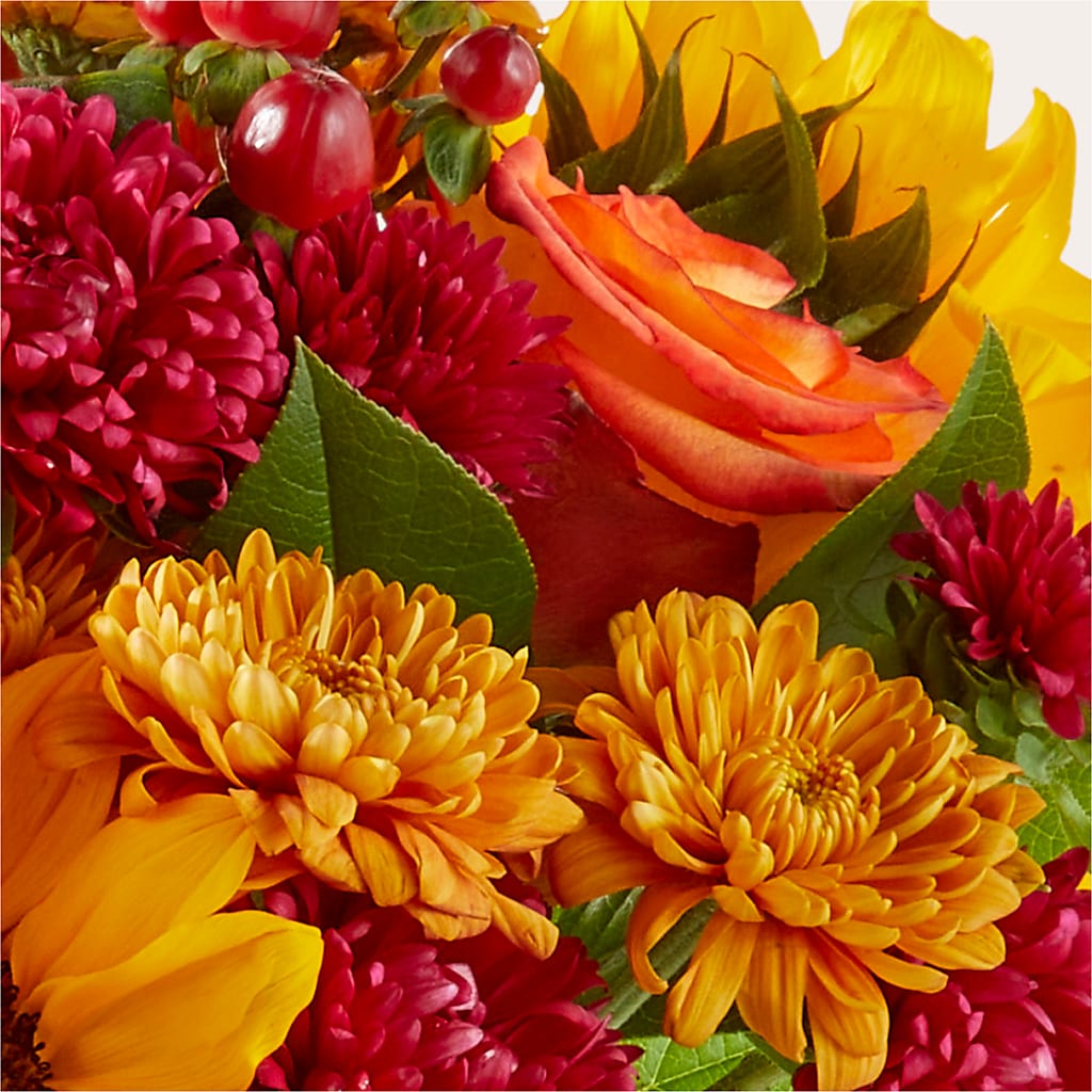 Sweater Season - A Florist Original – Diana Flowers, Passaic NJ