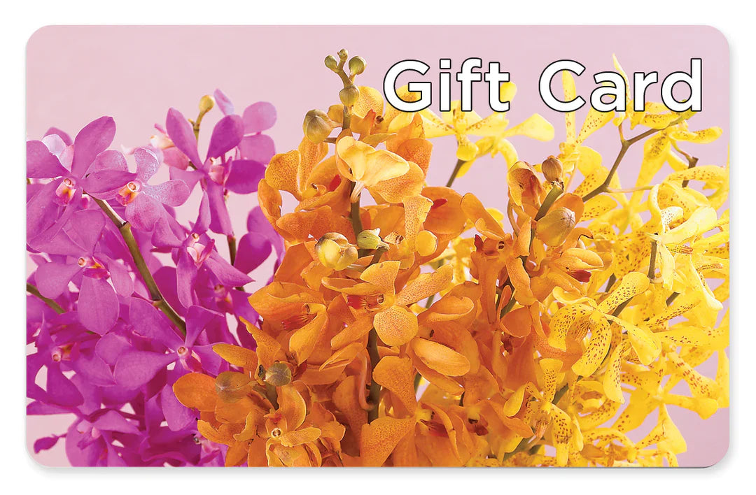Gift Card – Diana Flowers, Passaic NJ