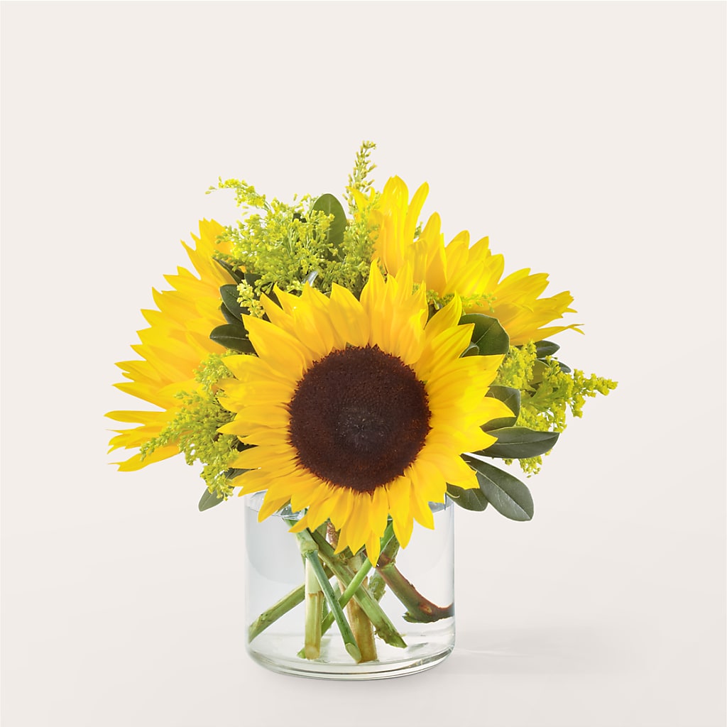 Beaming Sunflower Bouquet – Diana Flowers, Passaic NJ