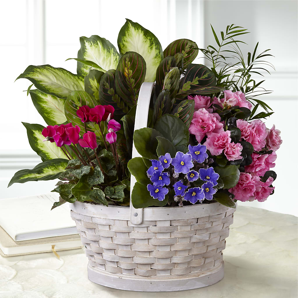 Peaceful Garden Planter – Diana Flowers, Passaic NJ