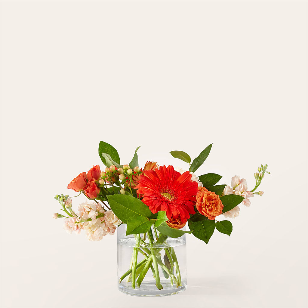 Paloma Please Bouquet – Diana Flowers, Passaic NJ