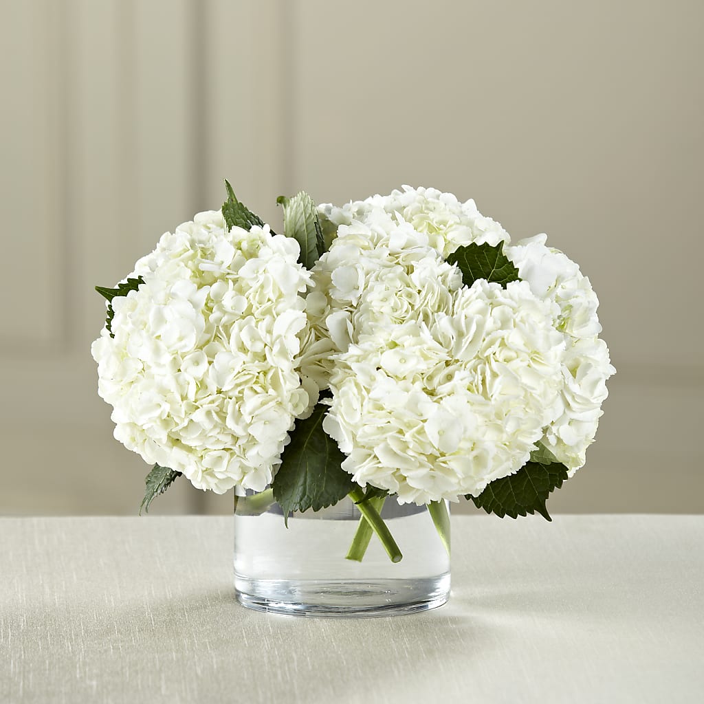 White Hydrangea Bouquet – Diana Flowers, Passaic NJ
