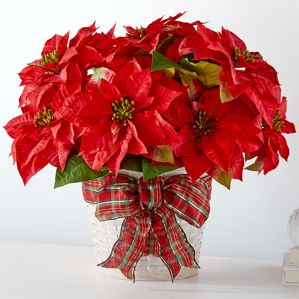 Happiest Holidays Poinsettia –  Diana Flowers, Passaic NJ