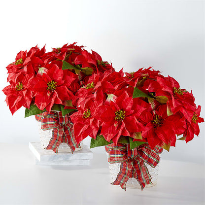Happiest Holidays Poinsettia Bundle –  Diana Flowers, Passaic NJ