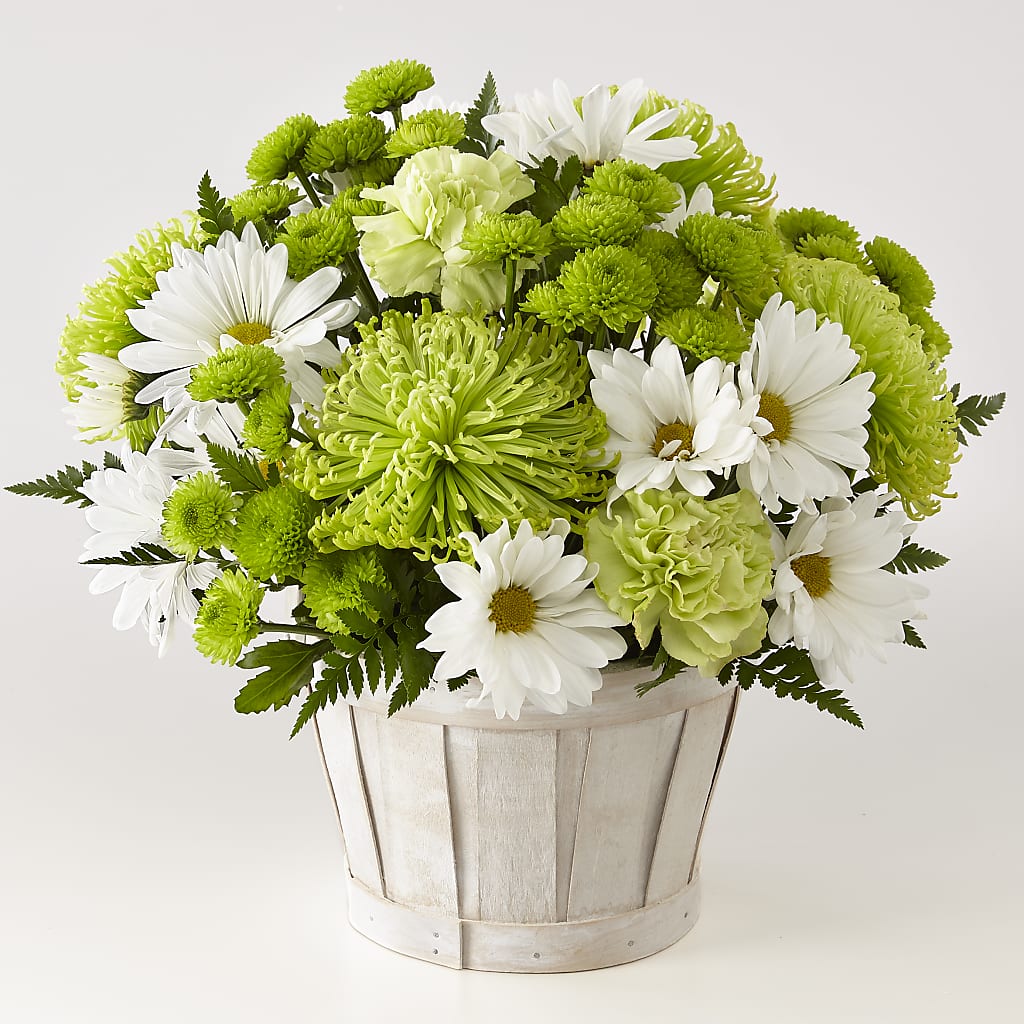Lucky Charm Basket (Standard) –  Diana Flowers, Passaic NJ