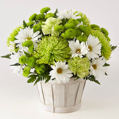 Lucky Charm Basket (Standard) –  Diana Flowers, Passaic NJ