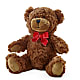 Adorable Plush Bear –  Diana Flowers, Passaic NJ