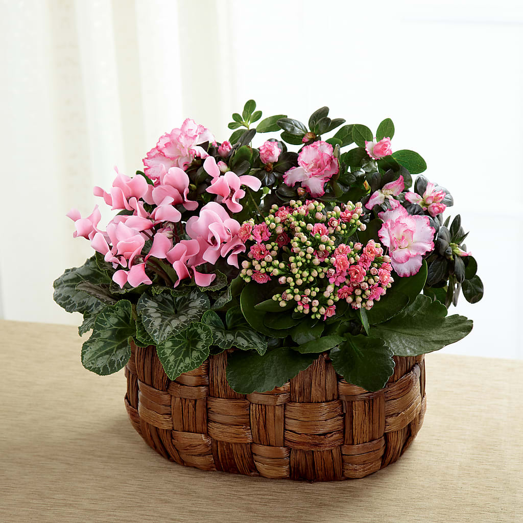 Pink Assortment –  Diana Flowers, Passaic NJ
