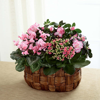 Pink Assortment –  Diana Flowers, Passaic NJ