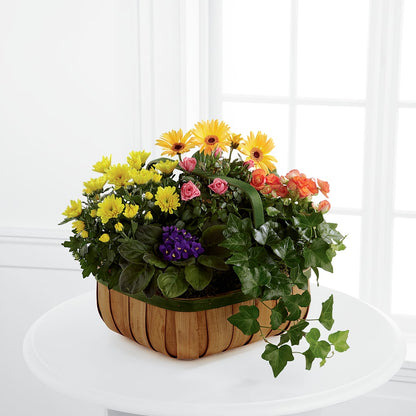 Gentle Blossoms Basket –  Diana Flowers, Passaic NJ