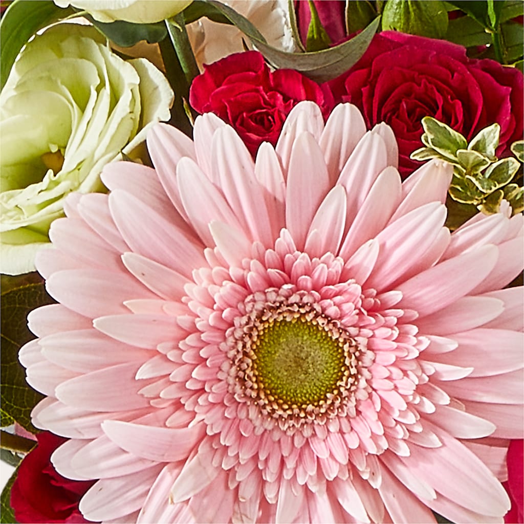 Too Cute Bouquet –  Diana Flowers, Passaic NJ