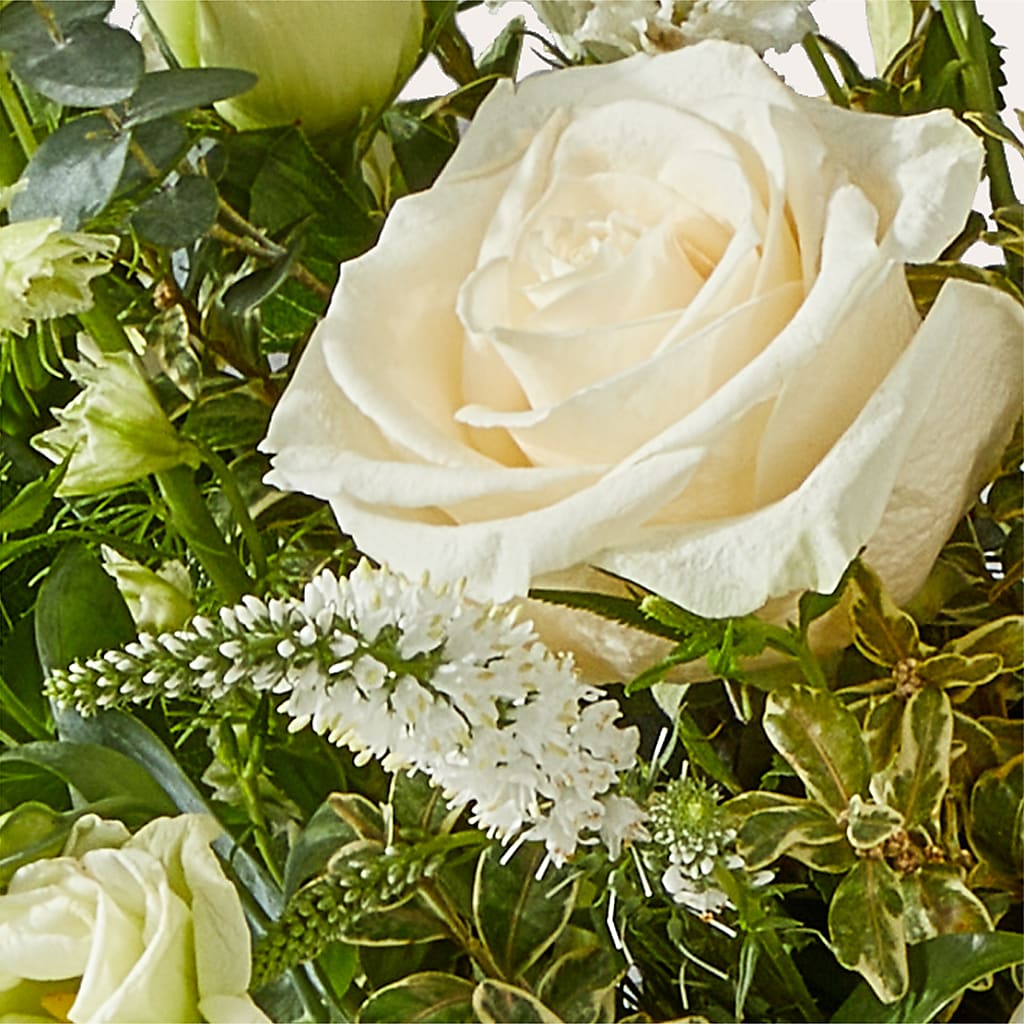 Cashmere Bouquet –  Diana Flowers, Passaic NJ