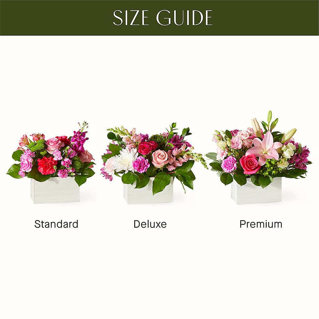 Sweetberry Box – A Florist Original –  Diana Flowers, Passaic NJ