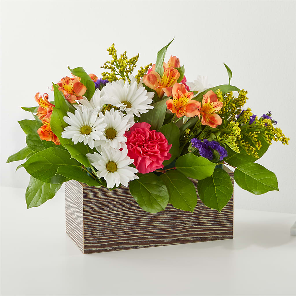 Oopsie Daisy Box Bouquet –  Diana Flowers, Passaic NJ
