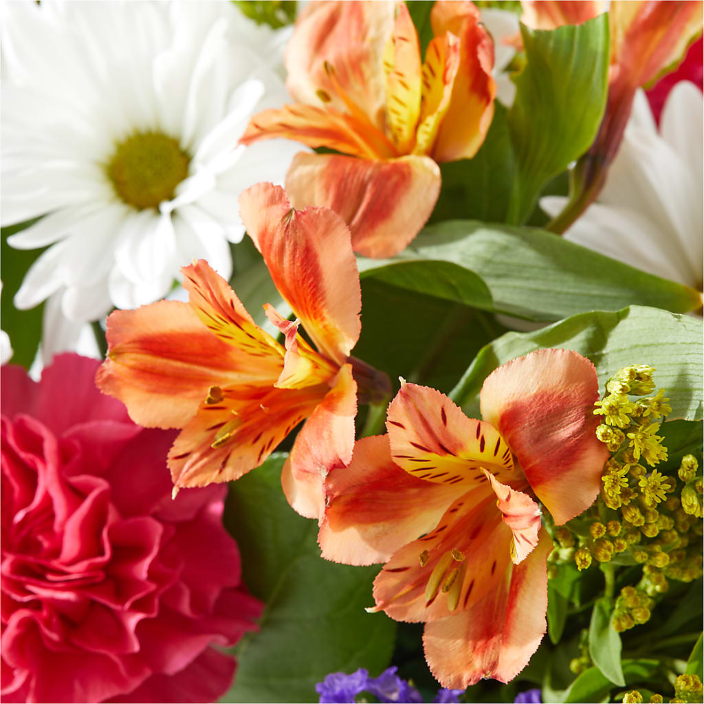 Oopsie Daisy Box Bouquet –  Diana Flowers, Passaic NJ