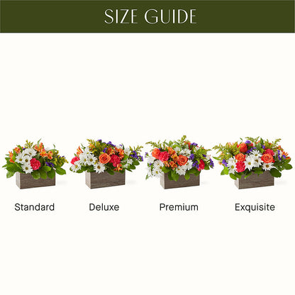 Oopsie Daisy Box Bouquet –  Diana Flowers, Passaic NJ
