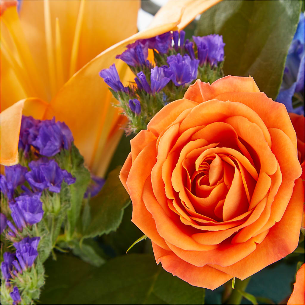 Radiant Citrus Box Bouquet –  Diana Flowers, Passaic NJ