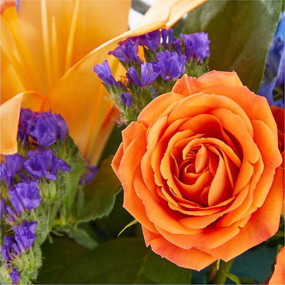 Radiant Citrus Box Bouquet –  Diana Flowers, Passaic NJ