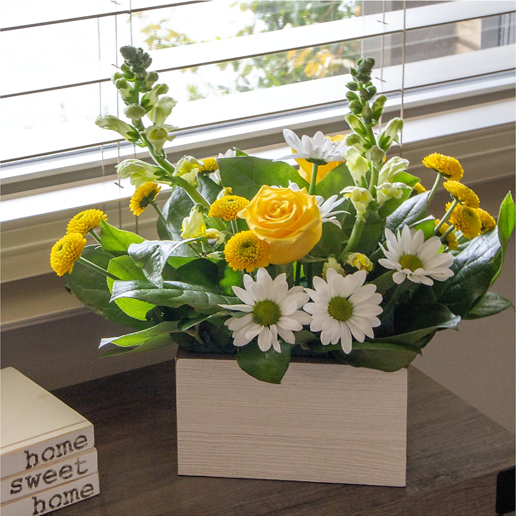 Sun Salutation Box Bouquet –  Diana Flowers, Passaic NJ