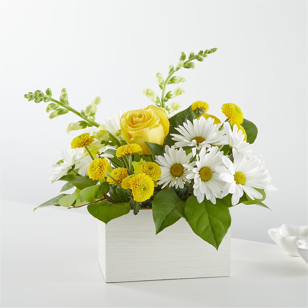 Sun Salutation Box Bouquet –  Diana Flowers, Passaic NJ