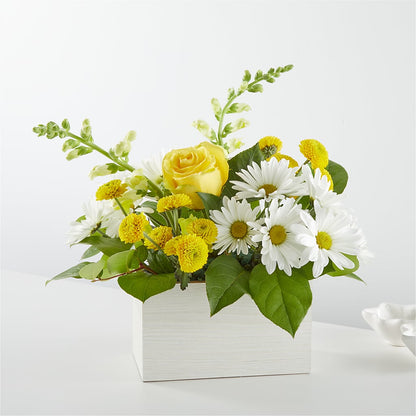 Sun Salutation Box Bouquet –  Diana Flowers, Passaic NJ
