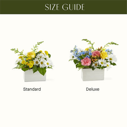 Sun Salutation Box Bouquet –  Diana Flowers, Passaic NJ