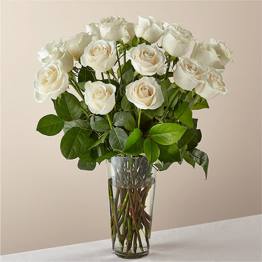 Long Stem White Rose Bouquet –  Diana Flowers, Passaic NJ