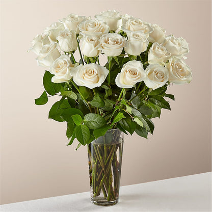 Long Stem White Rose Bouquet –  Diana Flowers, Passaic NJ