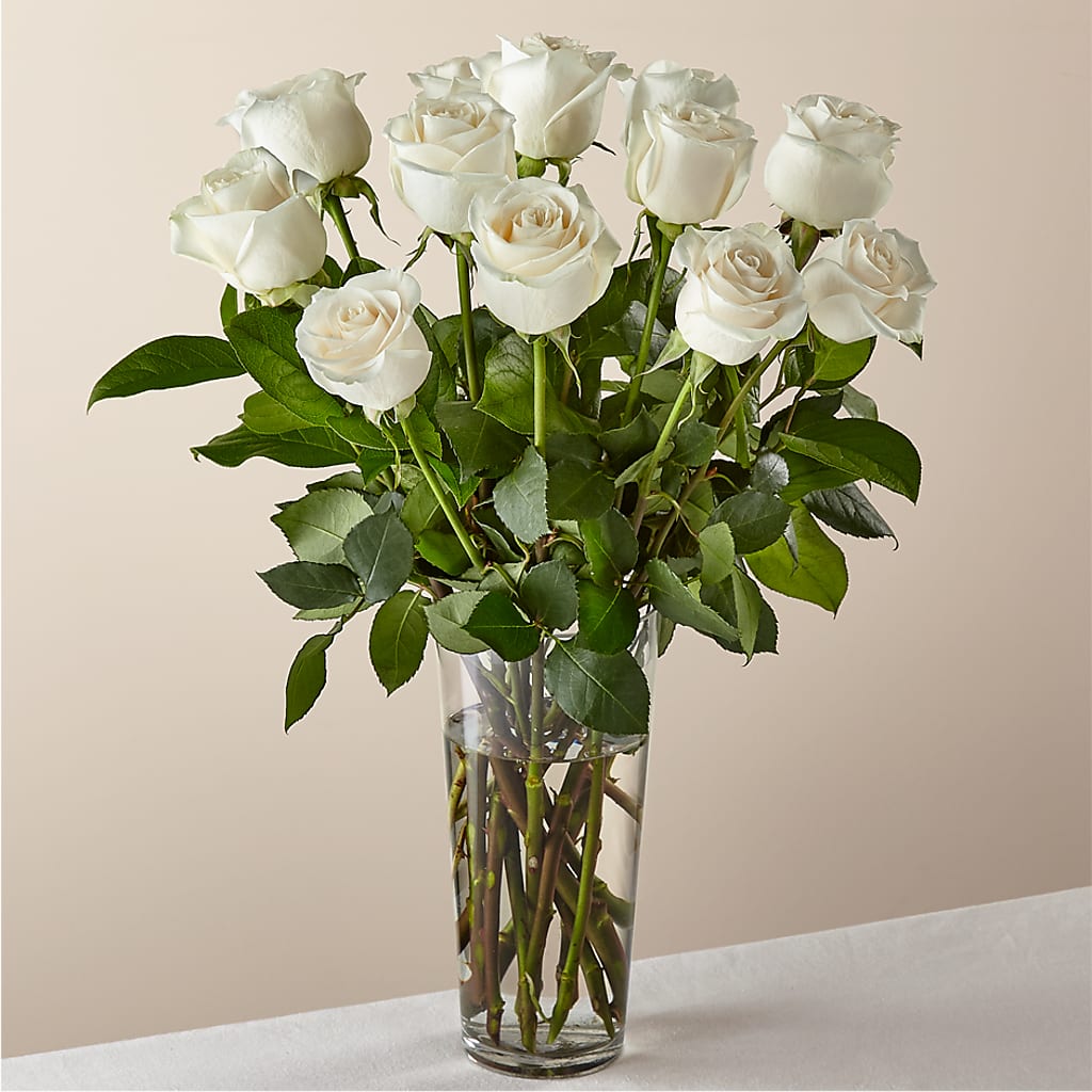 Long Stem White Rose Bouquet –  Diana Flowers, Passaic NJ