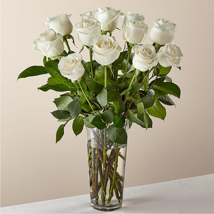 Long Stem White Rose Bouquet –  Diana Flowers, Passaic NJ