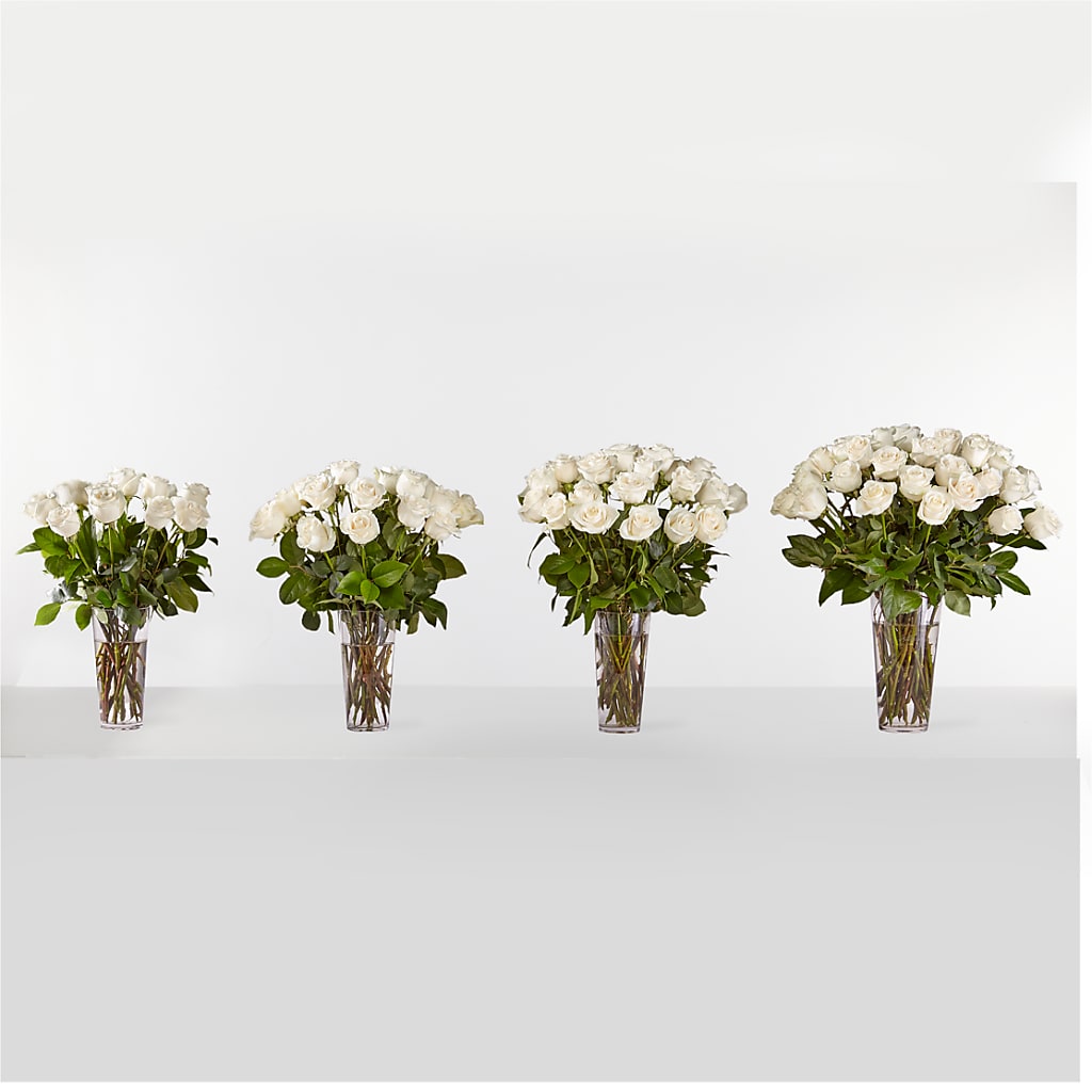 Long Stem White Rose Bouquet –  Diana Flowers, Passaic NJ
