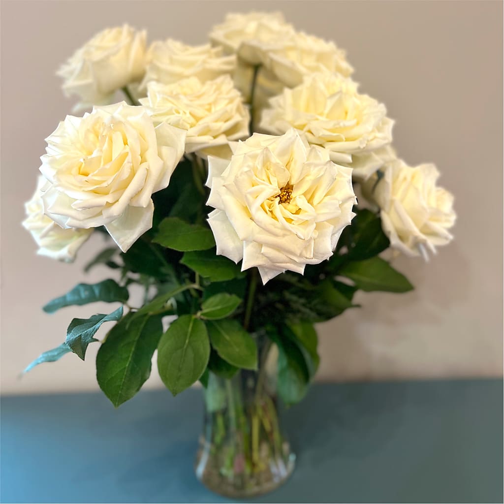 Long Stem Yellow Rose Bouquet –  Diana Flowers, Passaic NJ
