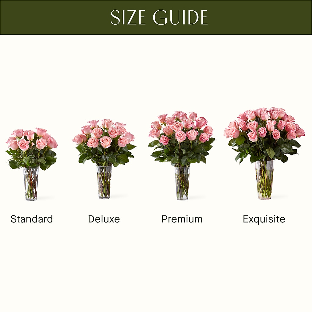 Long Stem Pink Rose Bouquet –  Diana Flowers, Passaic NJ