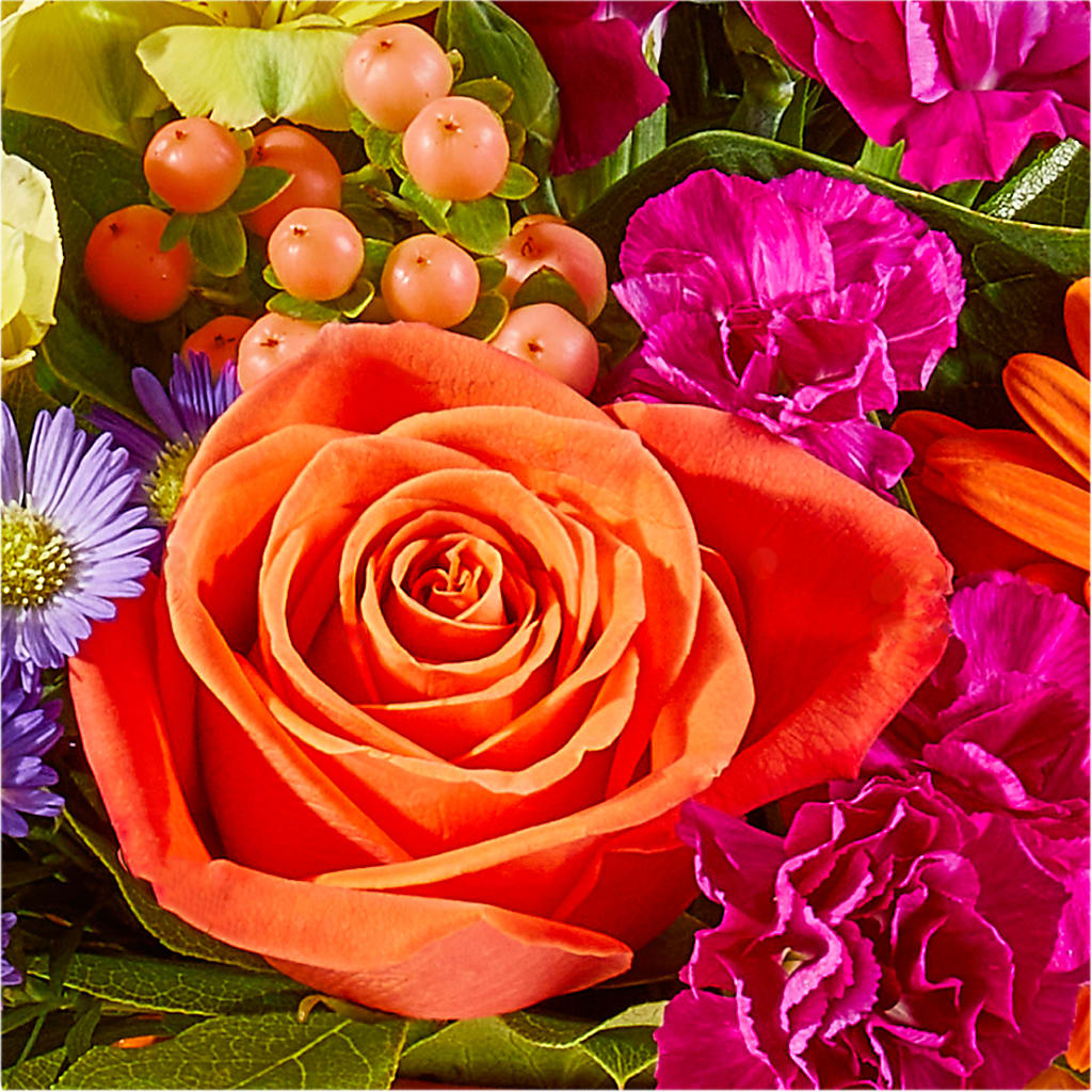 Tricks & Treats Pumpkin –  Diana Flowers, Passaic NJ