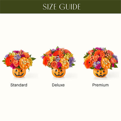 Tricks & Treats Pumpkin –  Diana Flowers, Passaic NJ