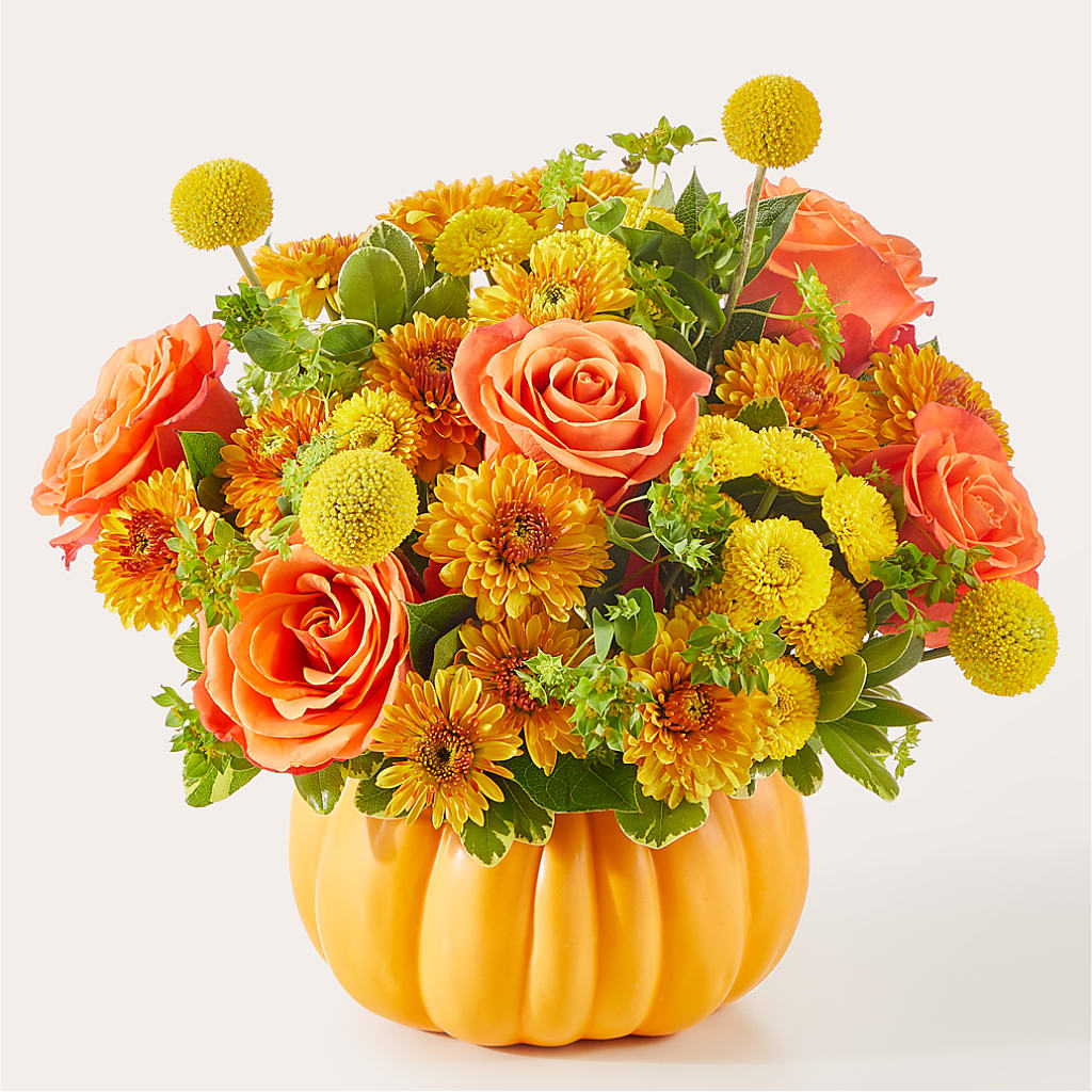 Gourdgeous Pumpkin –  Diana Flowers, Passaic NJ