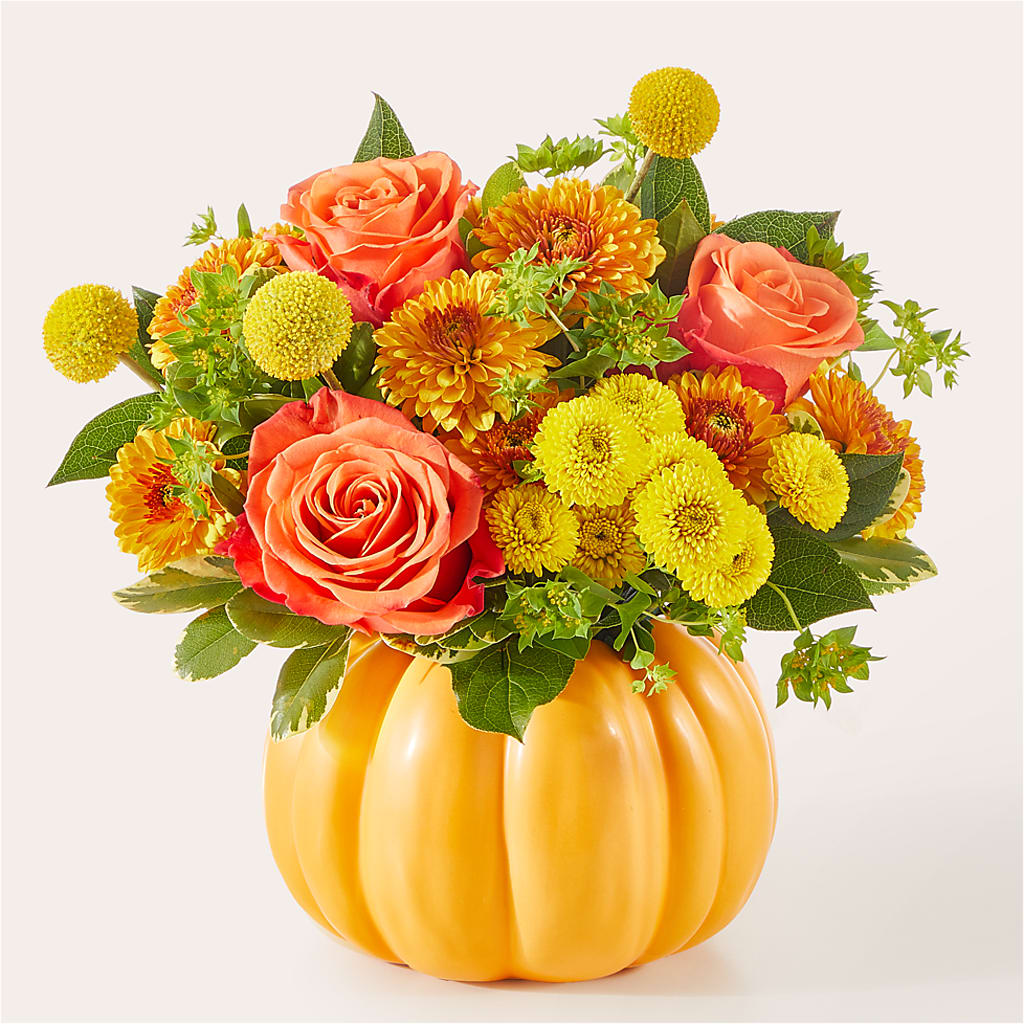 Gourdgeous Pumpkin –  Diana Flowers, Passaic NJ