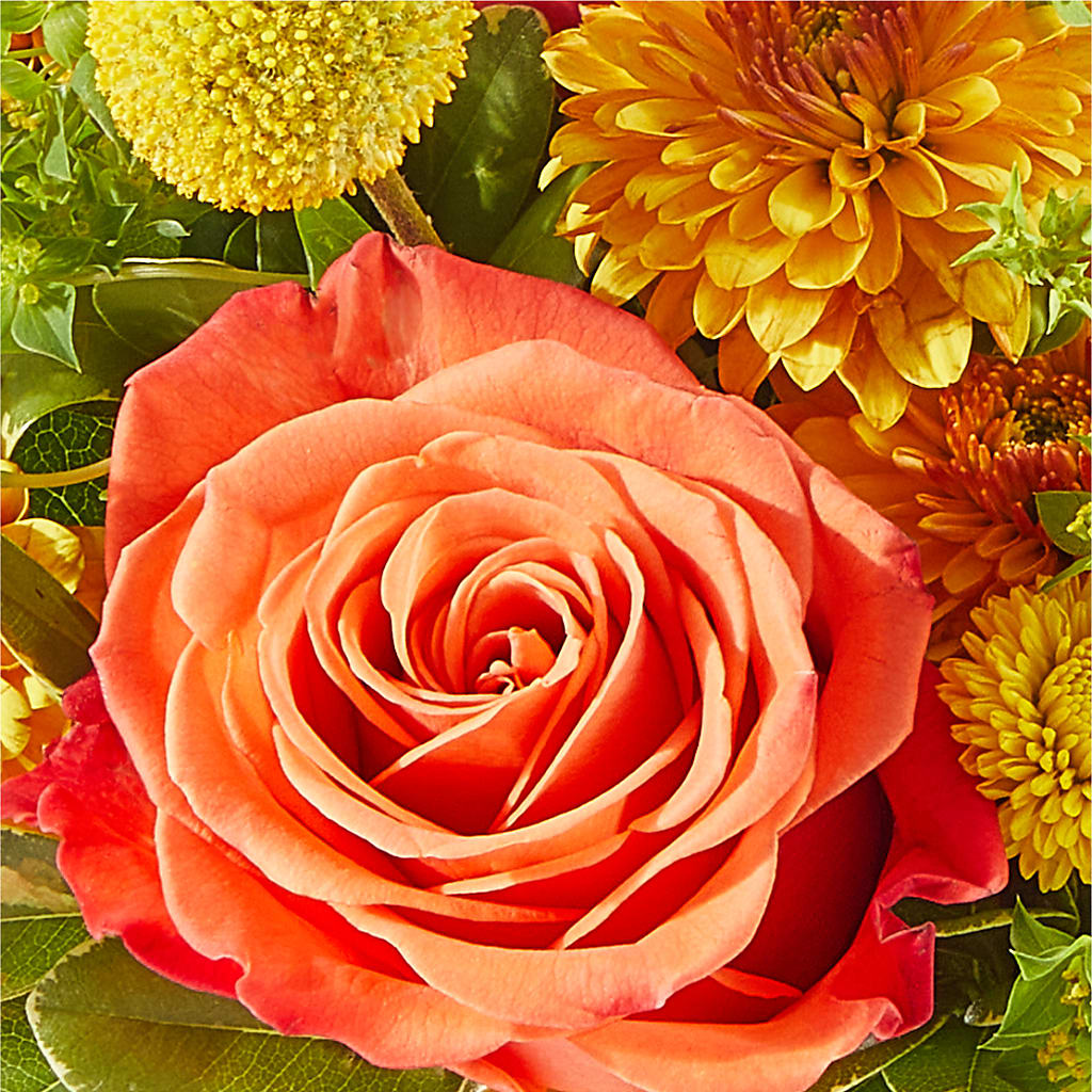 Gourdgeous Pumpkin –  Diana Flowers, Passaic NJ