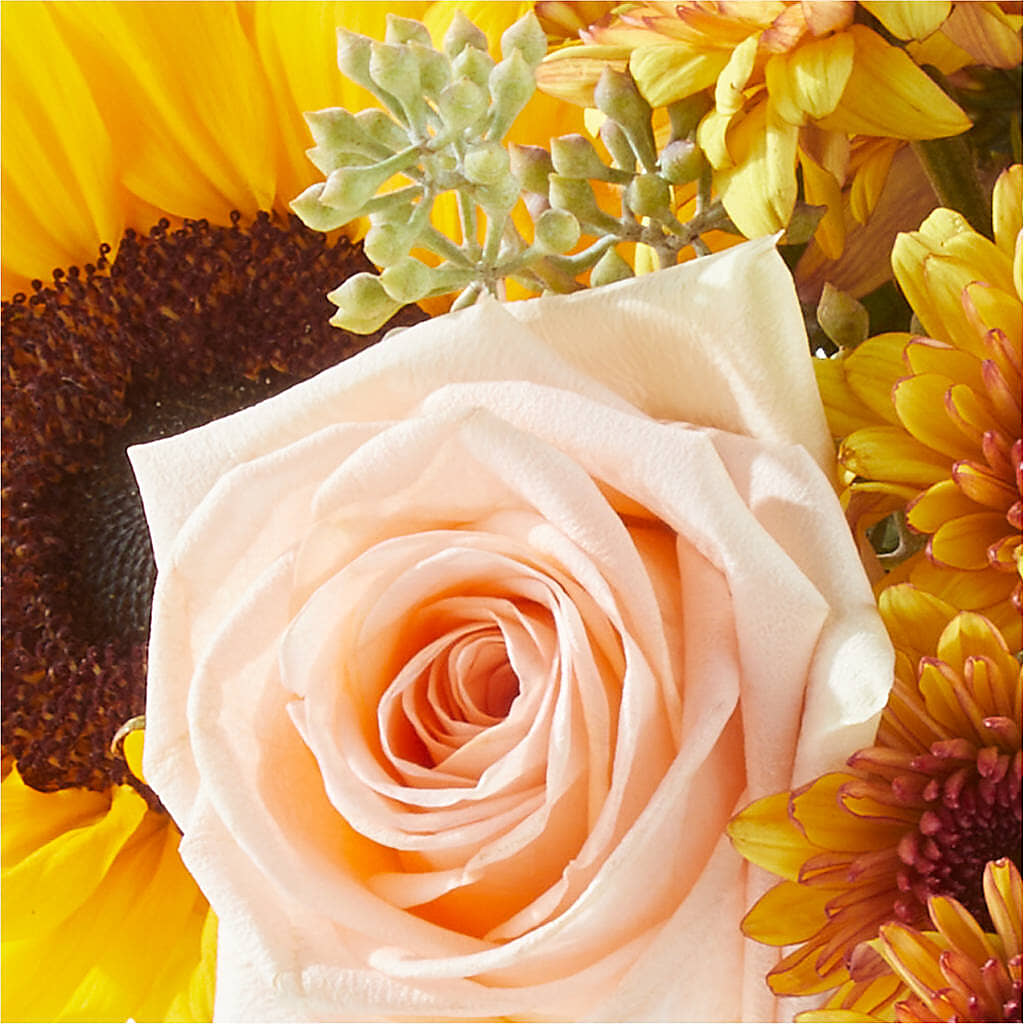 Pumpkin to Talk About Bouquet –  Diana Flowers, Passaic NJ