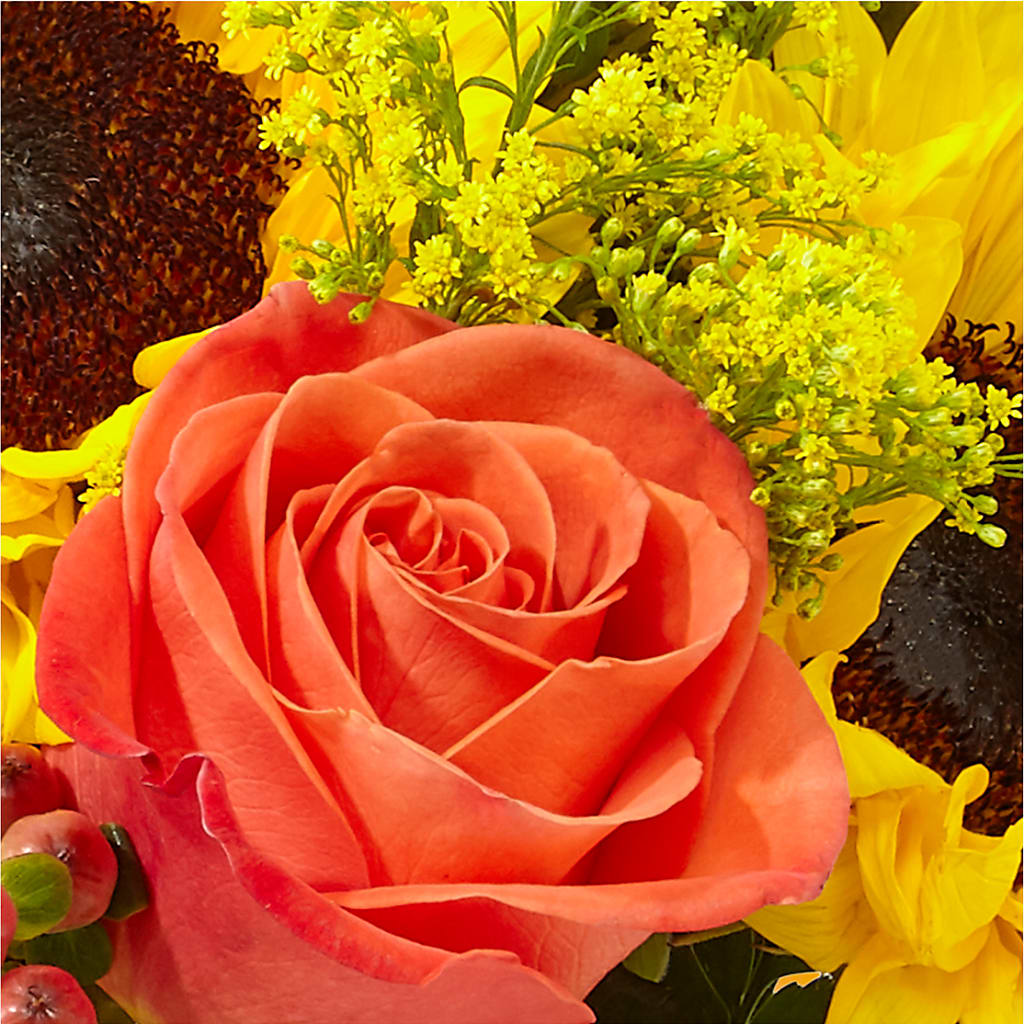 Pick of the Patch Pumpkin Bouquet –  Diana Flowers, Passaic NJ