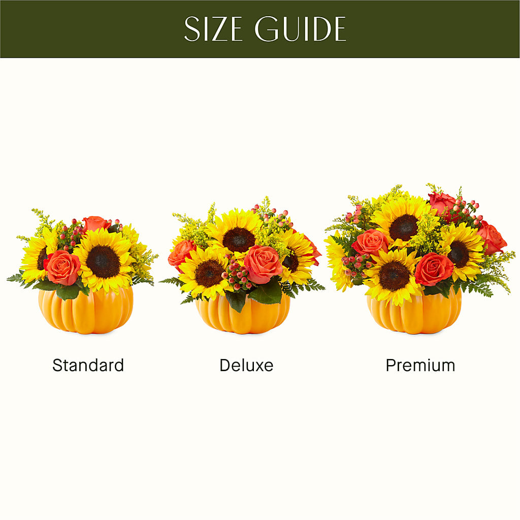 Pick of the Patch Pumpkin Bouquet –  Diana Flowers, Passaic NJ