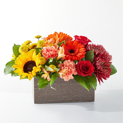 Autumn Orchard Bouquet –  Diana Flowers, Passaic NJ