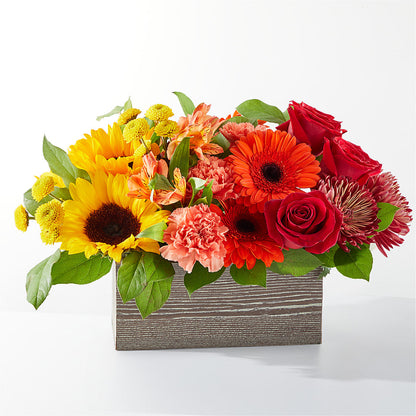Autumn Orchard Bouquet –  Diana Flowers, Passaic NJ