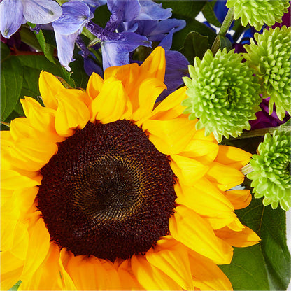 Catching Rays Bouquet –  Diana Flowers, Passaic NJ