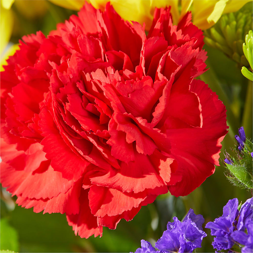 Brighter Days Bouquet –  Diana Flowers, Passaic NJ