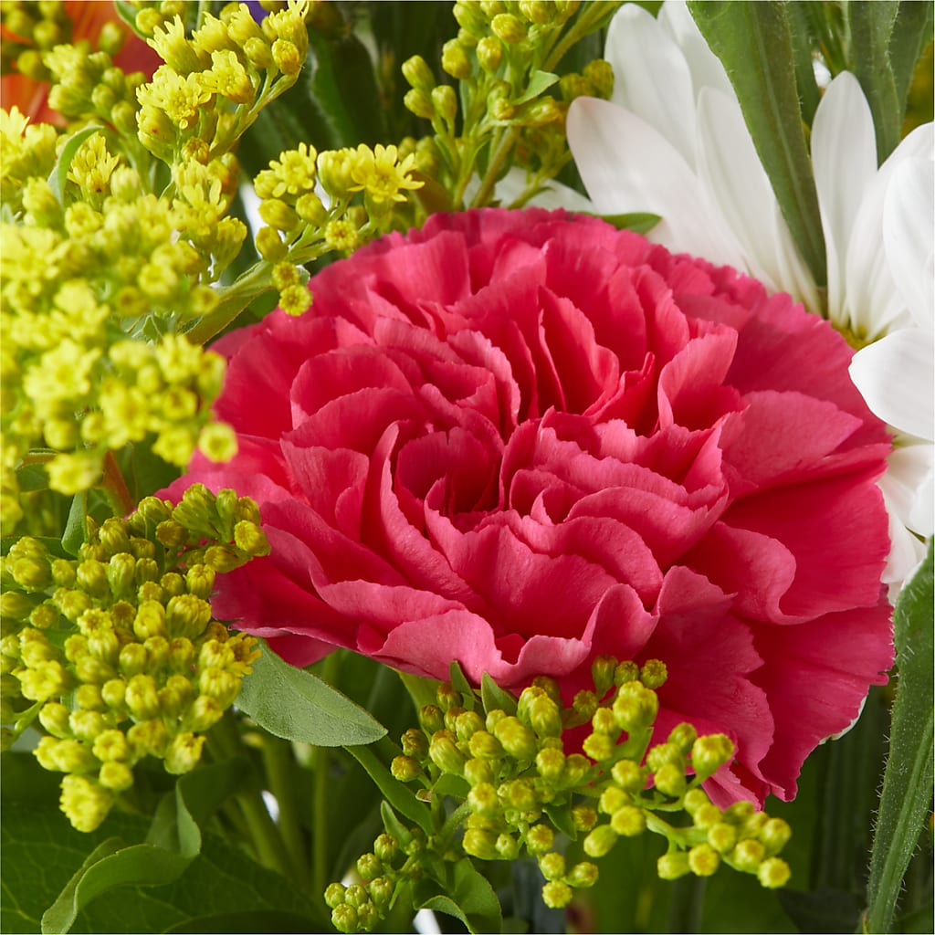 Oopsie Daisy Bouquet –  Diana Flowers, Passaic NJ